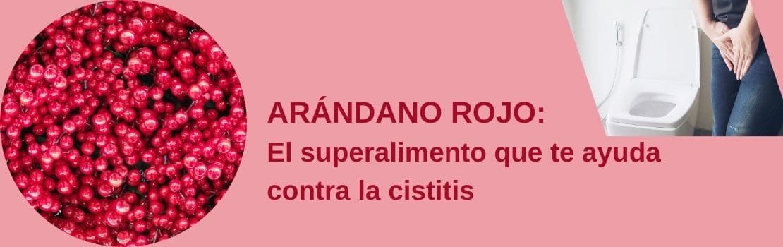 ¿Cómo puede ayudarte a combatir la infección de orina le arándano rojo?

El arándano rojo, también conocido como cranberry, ha ganado reconocimiento por su eficacia en la prevención y tratamiento de la cistitis, una infección común del tracto urinario. ¿Cómo actúa este pequeño fruto rojo para combatir esta molestia? Su efectividad radica en su capacidad para prevenir la adhesión de ciertas bacterias, especialmente Escherichia coli, a las paredes de la vejiga, reduciendo así el riesgo de infección.
Los beneficios del arándano rojo no se limitan solo a la prevención. Para aquellos que ya sufren de cistitis, el consumo regular de jugo o suplementos de arándano rojo puede ayudar a acelerar la recuperación y reducir la frecuencia de los episodios recurrentes. Además, su acción antioxidante puede contribuir a la salud general del tracto urinario, fortaleciendo las defensas naturales del cuerpo contra las infecciones.
Es importante tener en cuenta que el arándano rojo no debe considerarse como un sustituto completo de los tratamientos médicos convencionales, especialmente en casos graves de cistitis. Sin embargo, integrarlo como parte de un enfoque holístico para el cuidado de la salud del tracto urinario puede proporcionar beneficios adicionales y mejorar la calidad de vida de quienes padecen esta condición. Siempre es recomendable consultar a un profesional de la salud antes de iniciar cualquier régimen de suplementos, especialmente si se están utilizando para tratar una condición médica específica.

10 consejos infalibles para prevenir la cistitis:

Mantente hidratada: Mantener una hidratación adecuada no solo ayuda a mantener el equilibrio en tu cuerpo, sino que también puede dificultar el establecimiento de esas bacterias no deseadas.
No retengas: Orinar regularmente es tu táctica secreta para evitar que esas bacterias planeen una fiesta en tu vejiga. Al liberar regularmente la vejiga, estás eliminando posibles invitados no deseados.
Combate el estreñimiento: Mantén tu sistema digestivo en óptimas condiciones para mantener a raya a esas bacterias maliciosas. Una buena digestión es clave para asegurar que las bacterias no encuentren un ambiente propicio para proliferar.
Higiene íntima: Lavarte y secarte adecuadamente puede marcar la diferencia entre una vejiga feliz y una infección indeseada. La limpieza inteligente es tu escudo protector contra las bacterias invasoras.
Geles íntimos específicos: El uso de geles íntimos específicos femeninos puede prevenir la cistitis al mantener el pH vaginal en niveles saludables, lo que dificulta el crecimiento de bacterias patógenas, como la Escherichia coli, responsable de la cistitis. Estos geles proporcionan una limpieza suave que elimina las bacterias potencialmente dañinas y reducen el riesgo de irritación. Algunos de ellos pueden ser: 
Cumlaude Gineseda Gel Íntimo: Contiene ingredientes suaves y no irritantes, como el ácido láctico, que ayuda a mantener el pH vaginal equilibrado, reduciendo el riesgo de infecciones como la cistitis. Además, está enriquecido con extracto de Trifolium pratense, que puede ayudar a aliviar la sequedad vaginal y mantener la hidratación.
Lactacyd Pharma Antiséptico: Con agentes antisépticos que ayudan a prevenir y tratar infecciones vaginales, incluida la cistitis. Su fórmula suave y delicada proporciona una limpieza profunda sin alterar el equilibrio natural de la flora vaginal. Es especialmente útil en casos donde se busca una protección adicional contra infecciones.
Letifem: Contiene ácido láctico, para mantener el pH vaginal en niveles saludables, lo que ayuda a prevenir infecciones como la cistitis. Además, su fórmula suave y sin irritantes proporciona una limpieza delicada y efectiva, promoviendo así una buena higiene íntima.
Melagyn: Este gel íntimo contiene extracto de Melaleuca alternifolia, también conocido como árbol de té, que tiene propiedades antisépticas y antiinflamatorias. Esto lo hace efectivo para prevenir y tratar infecciones vaginales, incluida la cistitis. Melagyn proporciona una limpieza suave y ayuda a mantener el equilibrio de la flora vaginal.

Óvulos vaginales: Especialmente aquellos que contienen probióticos. Estos probióticos vaginales promueven una repoblación de las bacterias beneficiosas que actúan como barrera protectora contra las infecciones. Además, los óvulos que contienen ácido láctico y otros ingredientes como provitamina B5 y α-gluco-oligosacáridos pueden contribuir a reequilibrar el ecosistema vaginal y limitar el desarrollo de microorganismos patógenos, lo que ayuda a prevenir infecciones recurrentes, incluida la cistitis.
Antes y después: Toma precauciones antes y después de las relaciones sexuales para defender tu territorio contra la cistitis. Orinar antes y después de la actividad sexual puede ser tu mejor defensa contra las bacterias que intentan infiltrarse.
Ducha, no baño: Opta por la ducha en lugar del baño para evitar la acumulación de bacterias en tu piel y minimizar el riesgo de infección.
Adiós al bañador húmedo: Mantén la humedad a raya para evitar sorpresas desagradables. Cambiarte rápidamente y mantener tu ropa seca es esencial para prevenir la proliferación de bacterias y la posibilidad de infecciones.
Ropa interior: El algodón es tu mejor amigo cuando se trata de mantener a raya a esas bacterias molestas. Opta por prendas que permitan la transpiración y eviten la acumulación de humedad, creando un ambiente desfavorable para las bacterias.
Considera tus opciones: Algunos métodos anticonceptivos pueden aumentar el riesgo de cistitis, así que elige sabiamente. Consulta con tu médico sobre las opciones que mejor se adapten a ti y minimicen el riesgo de infección.
Arándano rojo: Descubre el secreto oculto en este pequeño fruto: ¡puede ser tu mejor aliado en la lucha contra la cistitis! No subestimes su poder: el arándano rojo ha demostrado ser efectivo en la prevención y tratamiento de las infecciones urinarias, gracias a sus propiedades que dificultan la adhesión bacteriana en el tracto urinario.
El arándano rojo puede consumirse de diversas formas, entre las cuales se incluyen:
Arándanos rojos frescos: Consumir arándanos rojos crudos es una opción saludable. Puedes añadirlos a ensaladas, yogures, batidos o simplemente disfrutarlos solos como refrigerio.
Jugo de arándano rojo: El jugo de arándano rojo puro, sin azúcares añadidos, puede proporcionar los beneficios del arándano para la salud del tracto urinario. Asegúrate de elegir un jugo que no contenga azúcares añadidos y que sea 100% de arándano rojo.
Suplementos de arándano rojo: Se pueden encontrar en forma de cápsulas o tabletas en tiendas de alimentos naturales o farmacias. Estos suplementos suelen contener concentrados de arándano rojo que proporcionan una dosis concentrada de sus beneficios para la salud.
Infusión de arándano rojo: Puedes preparar una infusión de arándano rojo utilizando bolsitas de té de arándano rojo o utilizando arándanos rojos secos. Simplemente hierve agua y agrega las bolsitas de té o los arándanos secos, deja reposar durante unos minutos y luego disfruta de la infusión.

Con estos consejos podrás prevenir en gran medida la temida cistitis, y si llega recuerda siempre consultar a un profesional de la salud para obtener el tratamiento adecuado y mantener tu salud íntima en óptimas condiciones. No dejes que las infecciones de orina te detengan, sigue adelante y vive tu mejor vida.